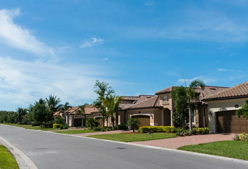 A quiet suburban street of tile-roofed single-storey houses with palms along the verge, under a bright blue sky.
